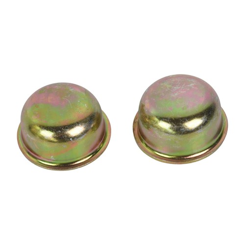 Wheel bearing grease cap - grease,